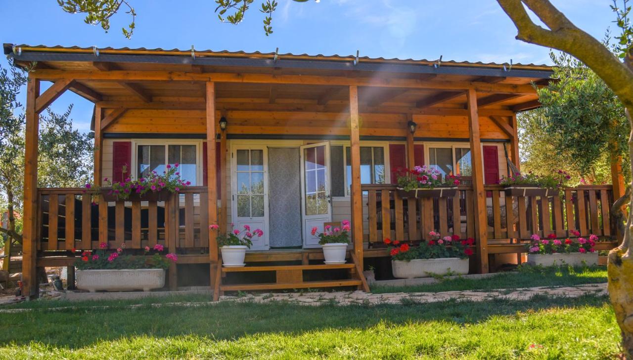 House Matea Villa บิลิเซ ภายนอก รูปภาพ